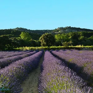 Lo Rastelie Bed & Breakfast